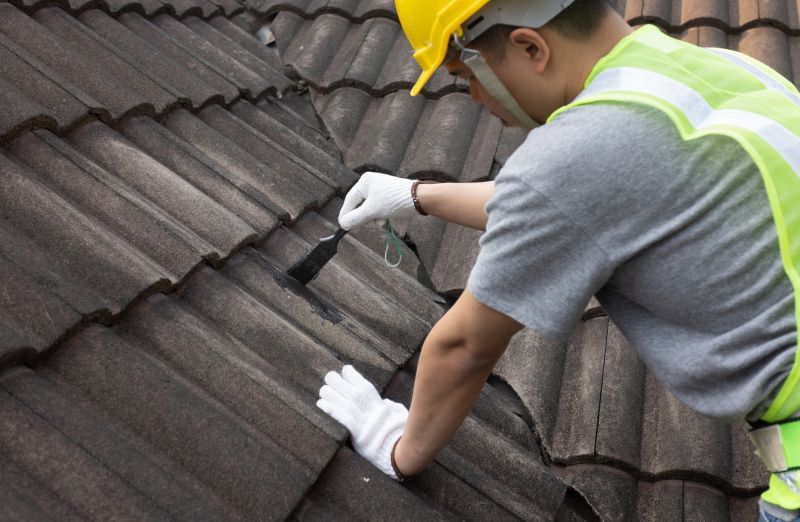 Roof Repair Needs