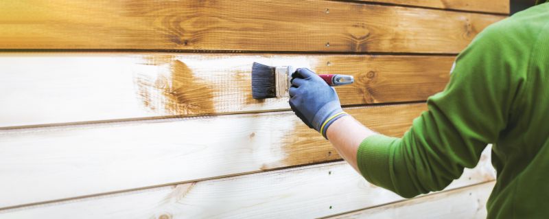 House Staining in Longmont, CO