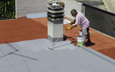 Roof Painting